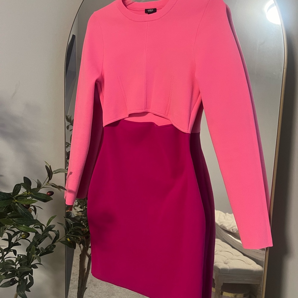 Express pink body contour dress